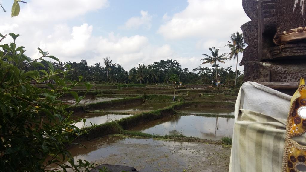 Pondok Anastasia Ubud Eksteriør bilde