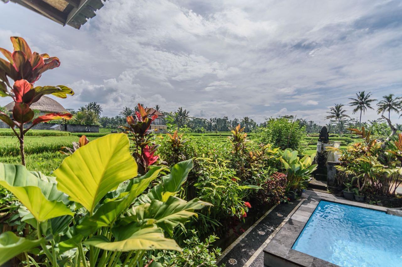 Pondok Anastasia Ubud Eksteriør bilde