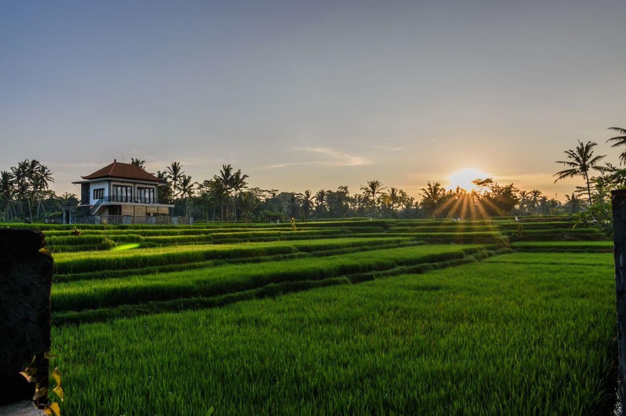 Pondok Anastasia Ubud Eksteriør bilde